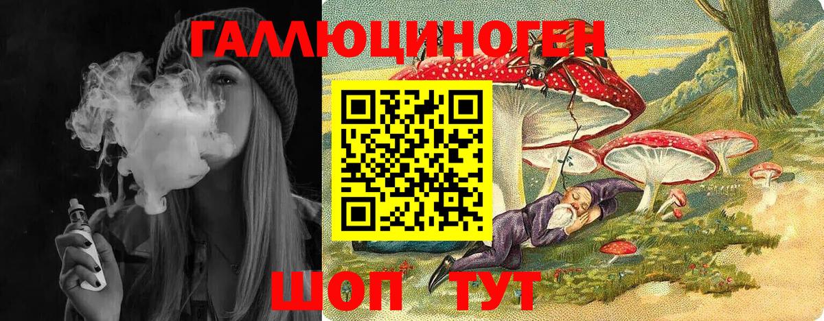 Вольск  Псилоцибиновые грибы мухоморы  Вход с VPN 